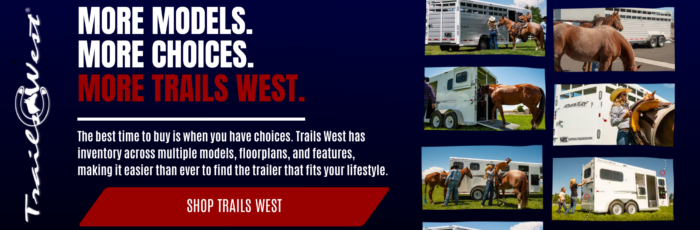 website banner (1)